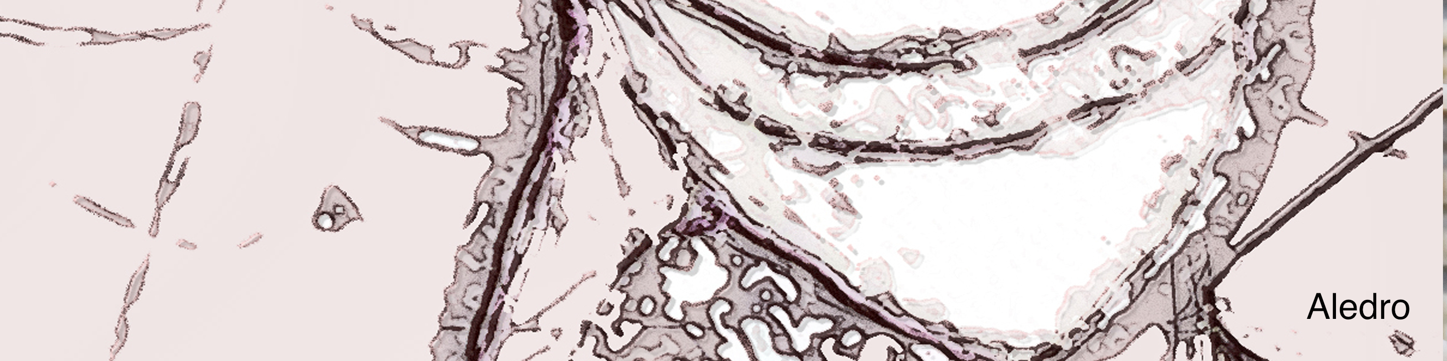 aledro