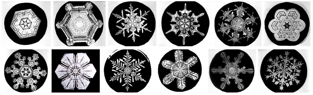 Screen Shot 2015-02-22 at 2.15.00 PM